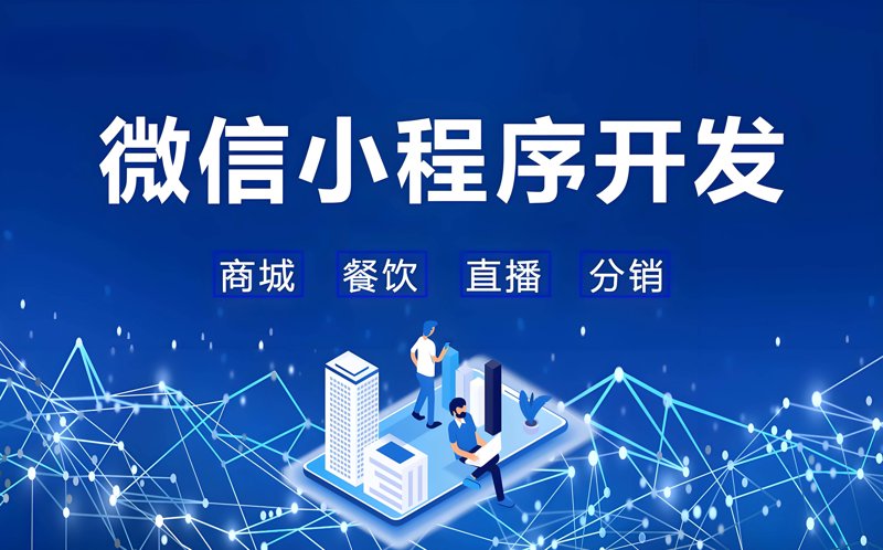 如何高效地进行网站维护？一个具体案例分析